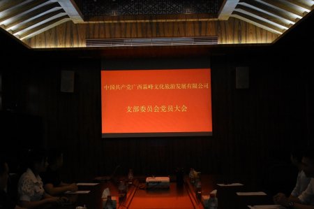 中国共产党广西霖峰文化旅游发展有限公司支部委员会党员大会